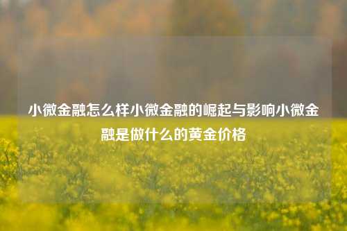 小微金融怎么样小微金融的崛起与影响小微金融是做什么的黄金价格