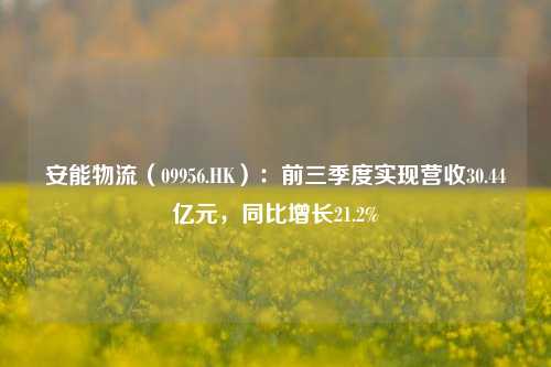 安能物流（09956.HK）：前三季度实现营收30.44亿元，同比增长21.2%