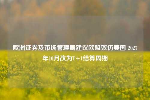 欧洲证券及市场管理局建议欧盟效仿美国 2027年10月改为T+1结算周期