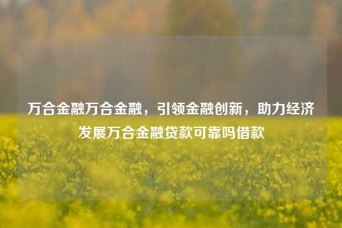 万合金融万合金融，引领金融创新，助力经济发展万合金融贷款可靠吗借款