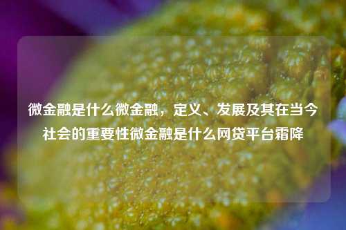 微金融是什么微金融，定义、发展及其在当今社会的重要性微金融是什么网贷平台霜降