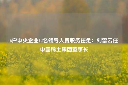 6户中央企业12名领导人员职务任免：刘雷云任中国稀土集团董事长