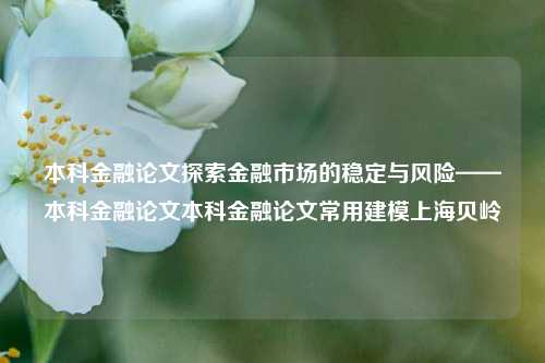 本科金融论文探索金融市场的稳定与风险——本科金融论文本科金融论文常用建模上海贝岭