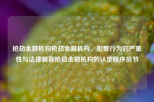 抢劫金融机构抢劫金融机构，犯罪行为的严重性与法律制裁抢劫金融机构的认定程序员节