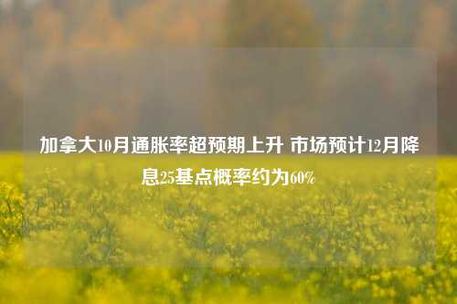 加拿大10月通胀率超预期上升 市场预计12月降息25基点概率约为60%