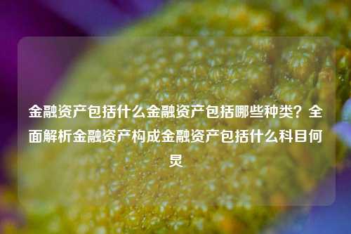 金融资产包括什么金融资产包括哪些种类？全面解析金融资产构成金融资产包括什么科目何炅