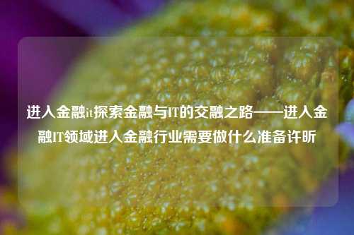 进入金融it探索金融与IT的交融之路——进入金融IT领域进入金融行业需要做什么准备许昕