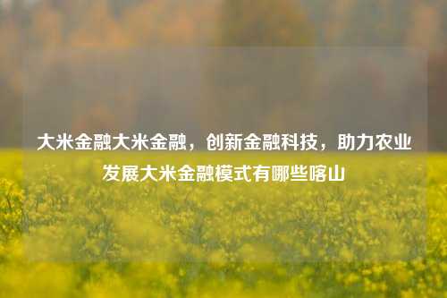 大米金融大米金融，创新金融科技，助力农业发展大米金融模式有哪些喀山