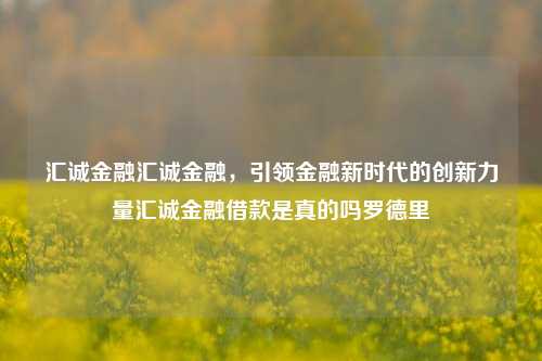 汇诚金融汇诚金融，引领金融新时代的创新力量汇诚金融借款是真的吗罗德里