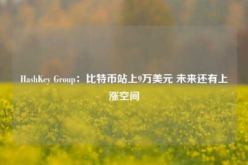 HashKey Group：比特币站上9万美元 未来还有上涨空间