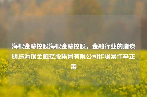 海银金融控股海银金融控股，金融行业的璀璨明珠海银金融控股集团有限公司诈骗案件辛芷蕾