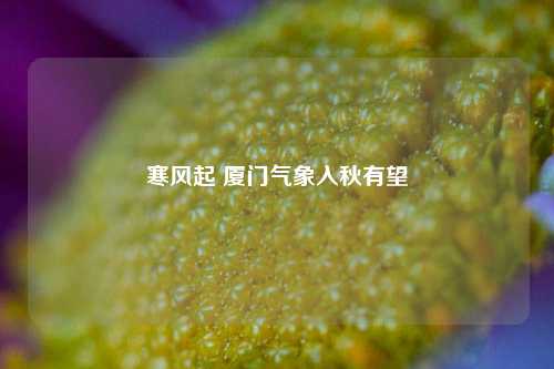 寒风起 厦门气象入秋有望