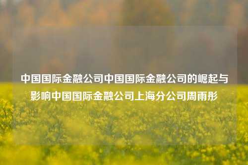 中国国际金融公司中国国际金融公司的崛起与影响中国国际金融公司上海分公司周雨彤