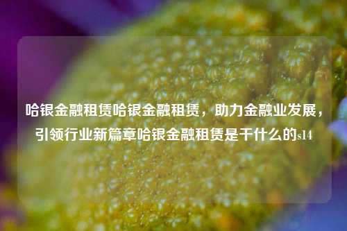 哈银金融租赁哈银金融租赁，助力金融业发展，引领行业新篇章哈银金融租赁是干什么的s14