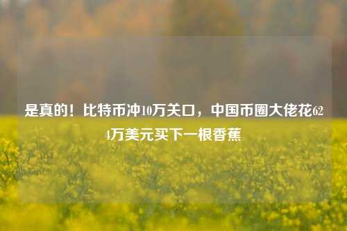 是真的！比特币冲10万关口，中国币圈大佬花624万美元买下一根香蕉