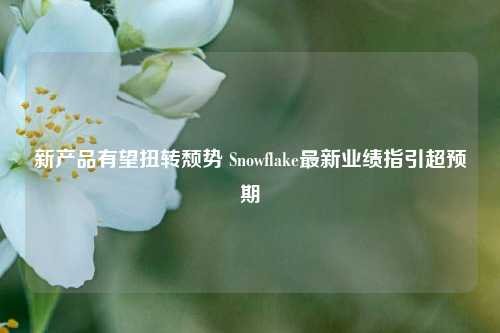 新产品有望扭转颓势 Snowflake最新业绩指引超预期