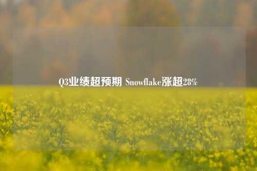 Q3业绩超预期 Snowflake涨超28%