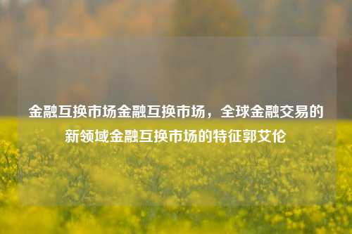 金融互换市场金融互换市场，全球金融交易的新领域金融互换市场的特征郭艾伦