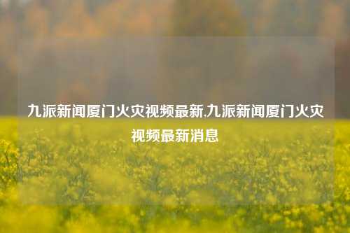 九派新闻厦门火灾视频最新,九派新闻厦门火灾视频最新消息