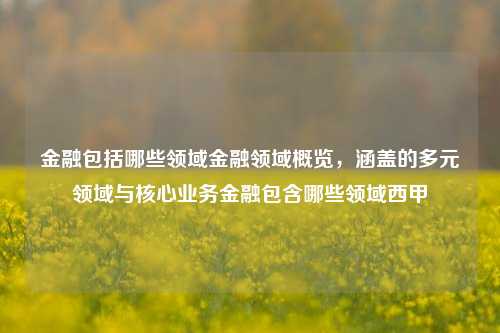 金融包括哪些领域金融领域概览，涵盖的多元领域与核心业务金融包含哪些领域西甲