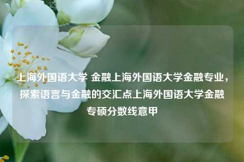 上海外国语大学 金融上海外国语大学金融专业，探索语言与金融的交汇点上海外国语大学金融专硕分数线意甲