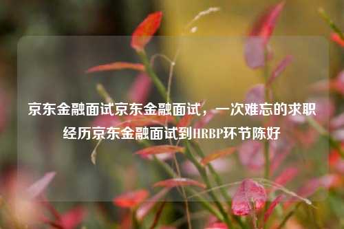 京东金融面试京东金融面试，一次难忘的求职经历京东金融面试到HRBP环节陈好