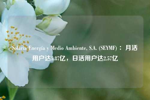 Solaria Energía y Medio Ambiente, S.A. (SEYMF) ：月活用户达5.87亿，日活用户达2.57亿