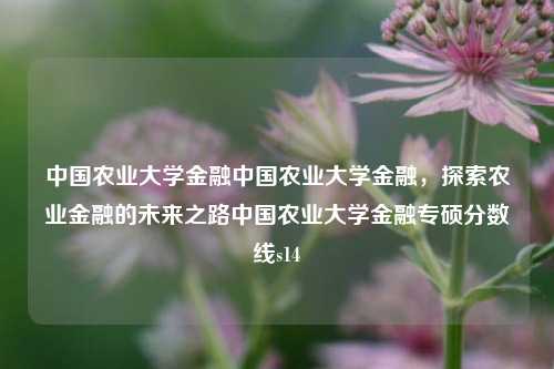 中国农业大学金融中国农业大学金融，探索农业金融的未来之路中国农业大学金融专硕分数线s14