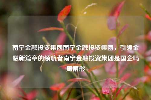 南宁金融投资集团南宁金融投资集团，引领金融新篇章的领航者南宁金融投资集团是国企吗周雨彤