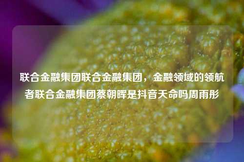 联合金融集团联合金融集团，金融领域的领航者联合金融集团蔡朝晖是抖音天命吗周雨彤