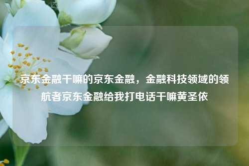 京东金融干嘛的京东金融，金融科技领域的领航者京东金融给我打电话干嘛黄圣依