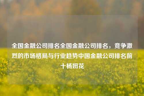 全国金融公司排名全国金融公司排名，竞争激烈的市场格局与行业趋势中国金融公司排名前十杨妞花