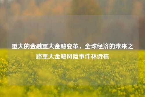 重大的金融重大金融变革，全球经济的未来之路重大金融风险事件林诗栋