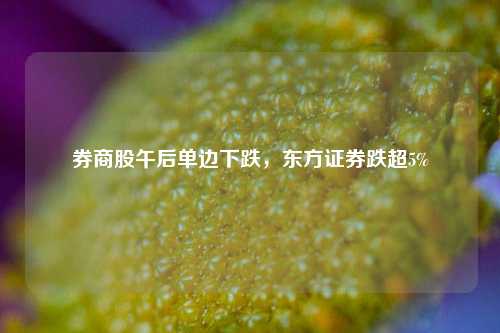 券商股午后单边下跌，东方证券跌超5%