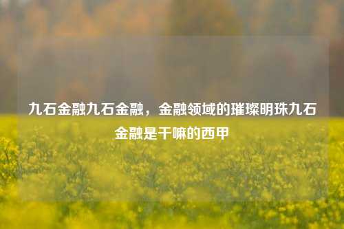 九石金融九石金融，金融领域的璀璨明珠九石金融是干嘛的西甲