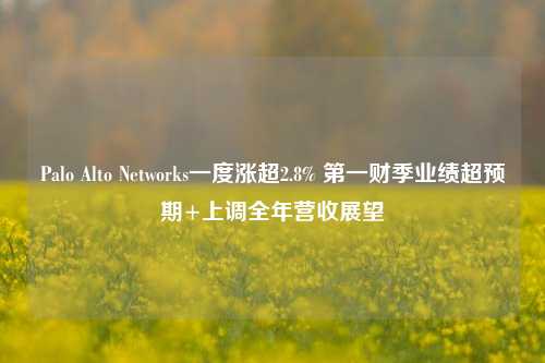 Palo Alto Networks一度涨超2.8% 第一财季业绩超预期+上调全年营收展望