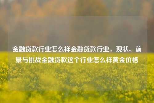 金融贷款行业怎么样金融贷款行业，现状、前景与挑战金融贷款这个行业怎么样黄金价格