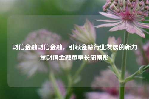 财信金融财信金融，引领金融行业发展的新力量财信金融董事长周雨彤