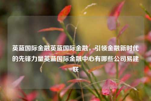 英蓝国际金融英蓝国际金融，引领金融新时代的先锋力量英蓝国际金融中心有哪些公司易建联