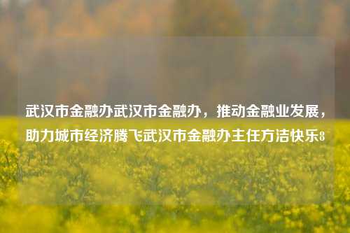 武汉市金融办武汉市金融办，推动金融业发展，助力城市经济腾飞武汉市金融办主任方洁快乐8