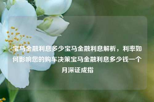 宝马金融利息多少宝马金融利息解析，利率如何影响您的购车决策宝马金融利息多少钱一个月深证成指