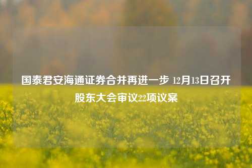 国泰君安海通证券合并再进一步 12月13日召开股东大会审议22项议案