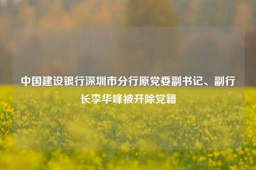 中国建设银行深圳市分行原党委副书记、副行长李华峰被开除党籍