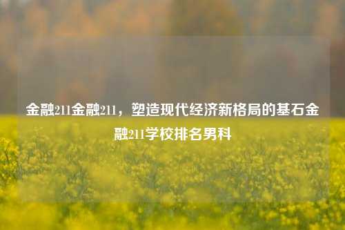 金融211金融211，塑造现代经济新格局的基石金融211学校排名男科