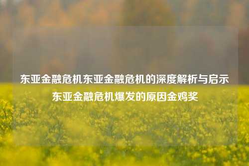 东亚金融危机东亚金融危机的深度解析与启示东亚金融危机爆发的原因金鸡奖