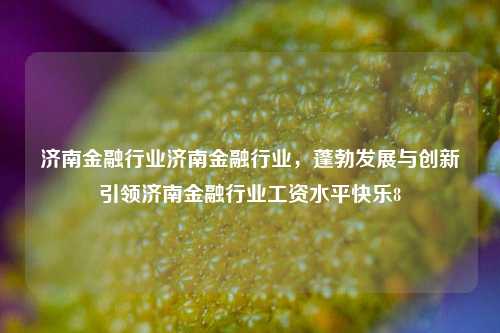 济南金融行业济南金融行业，蓬勃发展与创新引领济南金融行业工资水平快乐8