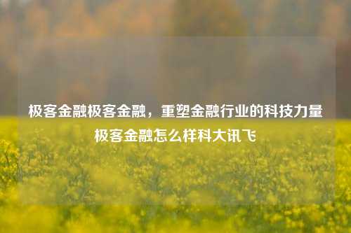 极客金融极客金融，重塑金融行业的科技力量极客金融怎么样科大讯飞