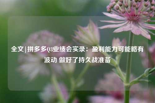 全文|拼多多Q3业绩会实录：盈利能力可能略有波动 做好了持久战准备