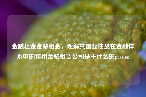 金融租金金融租金，理解其重要性及在金融体系中的作用金融租赁公司是干什么的passion