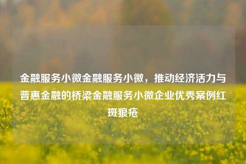 金融服务小微金融服务小微，推动经济活力与普惠金融的桥梁金融服务小微企业优秀案例红斑狼疮